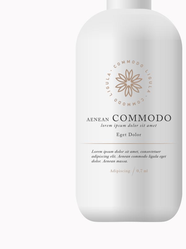 Wild Palettes - obrazek 5